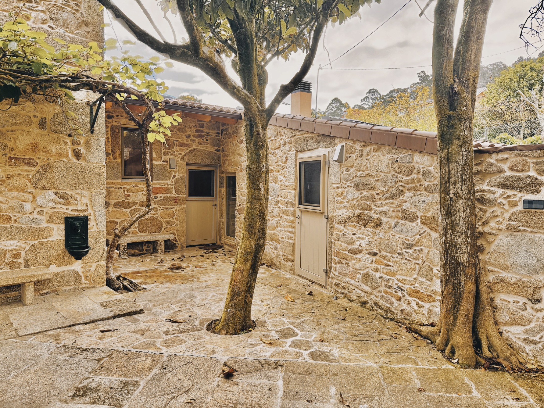 Fotografía 9 de Camboño